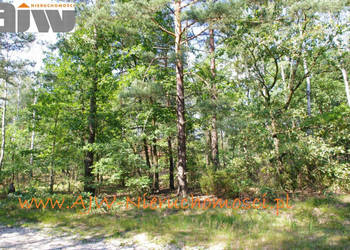 Działka 2210m2 Izabelin B gm. Izabelin