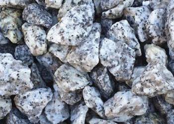 Grys granit Dalmatyńczyk 8-16, 16-22 Kamień ogrodowy dekor ozdobny