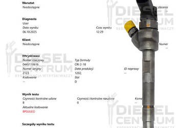 WTRYSKIWACZ BOSCH 0445110616 0445110478 BMW F10, F10, E90 2.0 3.0