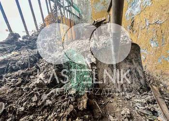 Sprzątanie po gołębiach Tczew – Kastelnik, mycie balkonów, strychów