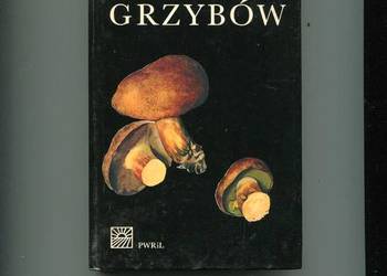 Mały atlas grzybów