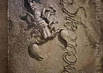 Scorpio Kelj fel! 1977