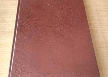 Rozwiązywanie problemów / Józef Kozielecki TWARDA