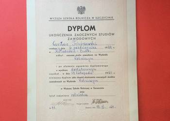 ( 1753 ) Dyplom Ukończenia Studiów, Tchórzewski