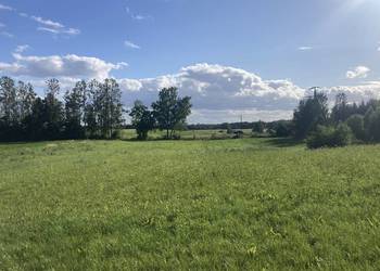 Duża działka budowlana blisko puszczy