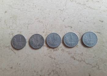 1 grosz 1949 rok Moneta