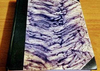 Święto i kultura : święta dawne i nowe rozważania socjologa Żygulski