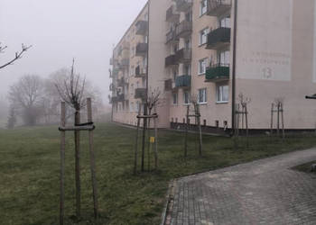 Sprzedam mieszkanie 65m2