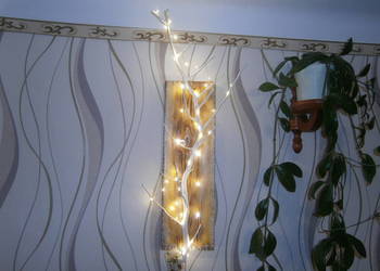 deska, konar drucik 50 led.