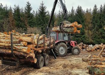 Suche Drewno Kominkowe Puszczykowo | Dostawa | LDO Andrzejewski