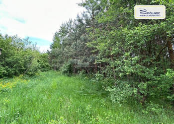 Działka Siedliskowa w Ruskowie 2791m2