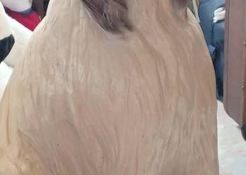 CHART AFGAŃSKI CERAMIKA SYGNOWANA POWOJENNA 24 KILO WAZY 83 WYSOKA  ZABYTEK