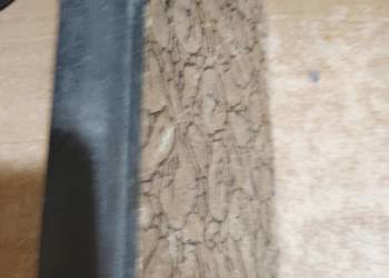 Reymont W. - BUNT baśń, 1924 [wyd. 1] [w PRL indeks książek zakazanych]