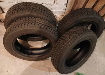 Opony zimowe Dębica 155/65 R14