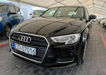 Audi A3 Po Lifcie* 1.6 TDI* 115 KM* 6 Biegów* Zarejestrowany* 8V (2012-)