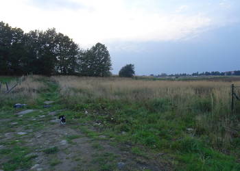 SPRZEDAM DZIAŁKĘ BUDOWLANĄ, INWESTYCYJNĄ NAD MORZEM