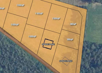 Las za oknem, projekt w ręku – działka gotowa do budowy