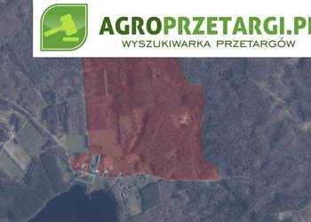 Dzierżawa 7,37 ha gruntu rolnego