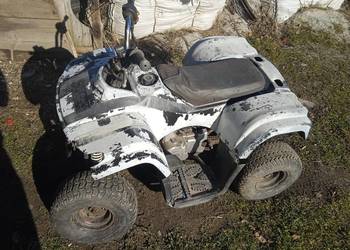 quad 110 6cali bez wsteczego