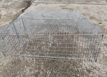 metalowa klatka pułapka na koty