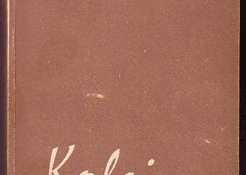(9163) KOLEINY – JULIAN GAŁAJ