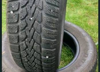 Opony 195.65.15 zimowe Dunlop