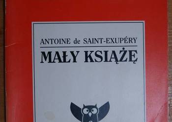 Streszczenie - Antoine de Saint-Exupery - Mały Książę