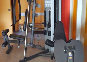Atlas, profesjonalna multistacja niemieckiej firmy Vision Fitness