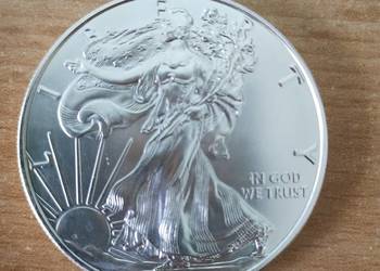 Moneta USA $1 1 oz. Silver Eagle 2023 (2)