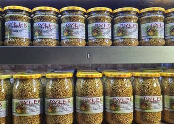 Pyłek pszczeli kwiatowy - duży słoik 0,9 l. - z własnej pasieki