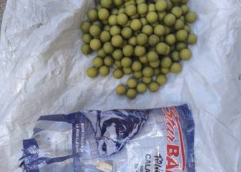 Kulki proteinowe 18 mm StarBaits kalmar 0,715 kg