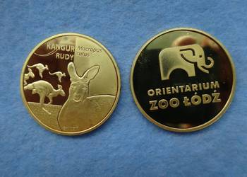 Złota Polska Zoo Orientarium Łódź Kangur rudy medal moneta N