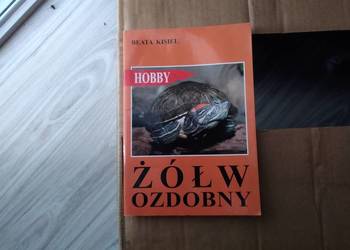 książka o żółwiach