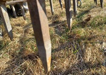 Brony polowe ciężkie