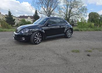 Beetle 1.6 tdi 160 kucy