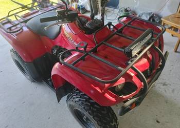 Yamaha bruin 250