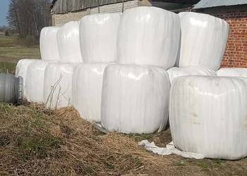 Sianokiszonka w belach 1 pokos