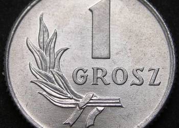 POLSKA 1 GROSZ 1949 - STAN 1/2