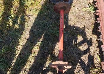 Oś sadzarki polskiej