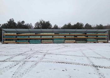 Oferta specjalna ŁATA