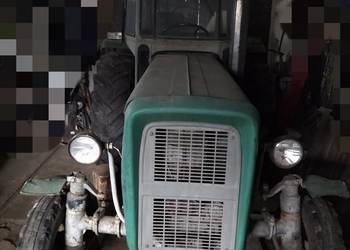 Ursus C-360 na sprzedaż. Złotniki Kujawskie