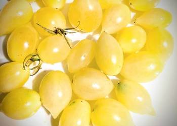 Crazy Barry's Cherry pomidor nasiona kolekcja 2025