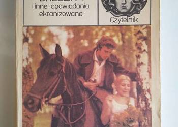 Brzezina i inne opowiadania Jarosław Iwaszkiewicz