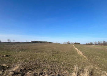 Działka 5800m2 Gnojno