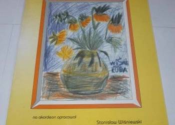 AKORDENOWE NUTKI - WIŚNIEWSKI STANISŁAW