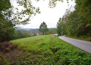 Oferta sprzedaży gruntu 12337m2 Nowy Wiśnicz