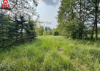 Grunt 2900m2 Kosmaty Borek