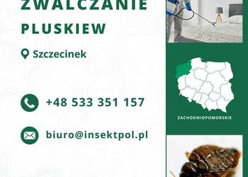 Zwalczanie pluskiew Szczecinek - Odpluskwianie