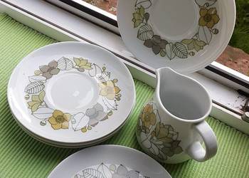 spodki talerzyki z mlecznikiem