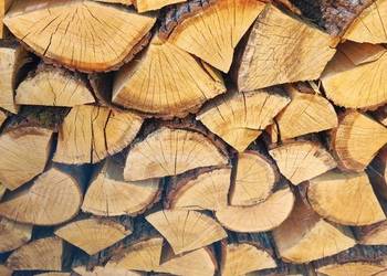 Drewno kominkowe opałowe